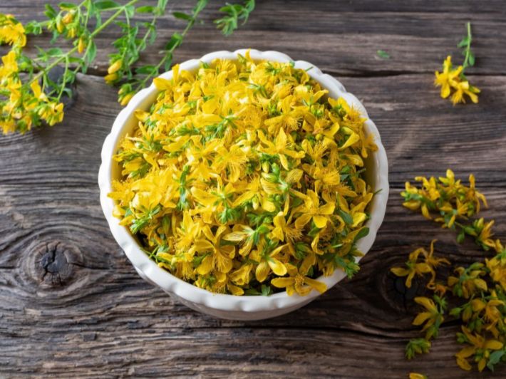 St. John’s Wort: Everything You Need to Know